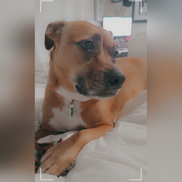 Fashion - Beauty - Confidence - Trust - Picture 3 of 10